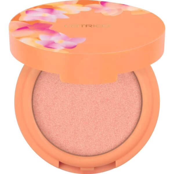 Illuminante Cream-To-Powder SEEKING FLOWERS - Catrice