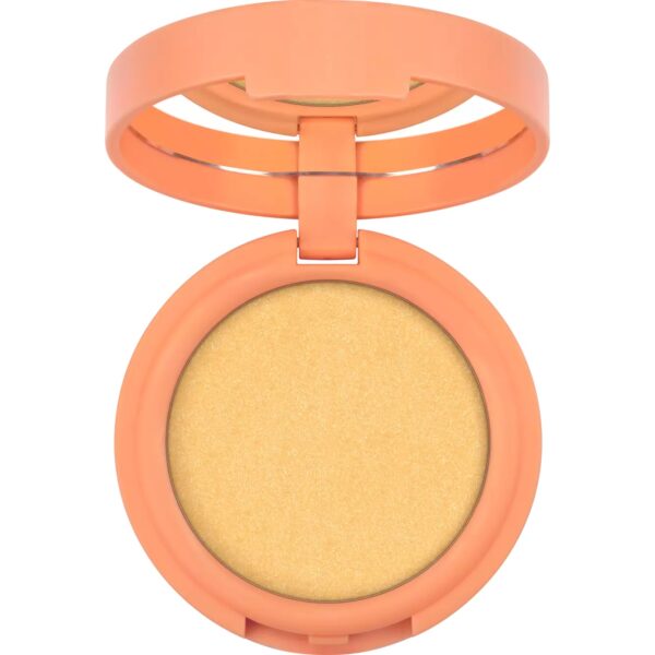 Illuminante Cream-To-Powder SEEKING FLOWERS 02 - Catrice